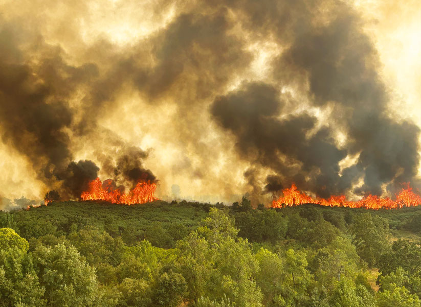 Fogos